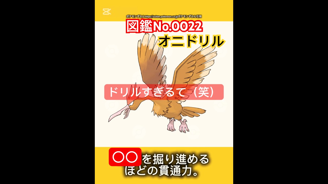 ポケモン雑学【オニドリル】#ポケモン #pokémon #pokemon #ポケモンsv #pokemongo #JAPAN #japanese  #ポケポケ #ポケモンカード #オニドリル