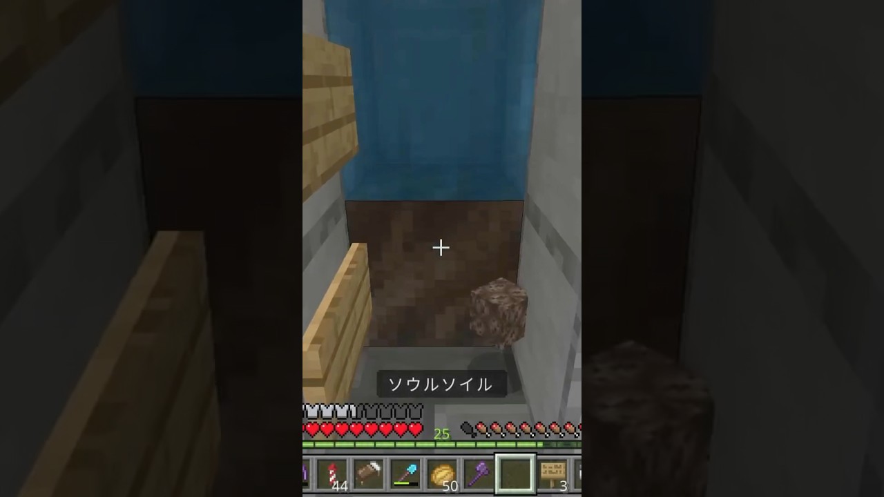水流エレベーターってソウルサンドの代わりにソウルソイルでもいけるの？やってみた。 #マイクラ実況 #minecraft #マイクラ #マインクラフト #水流エレベーター #マイクラ豆知識