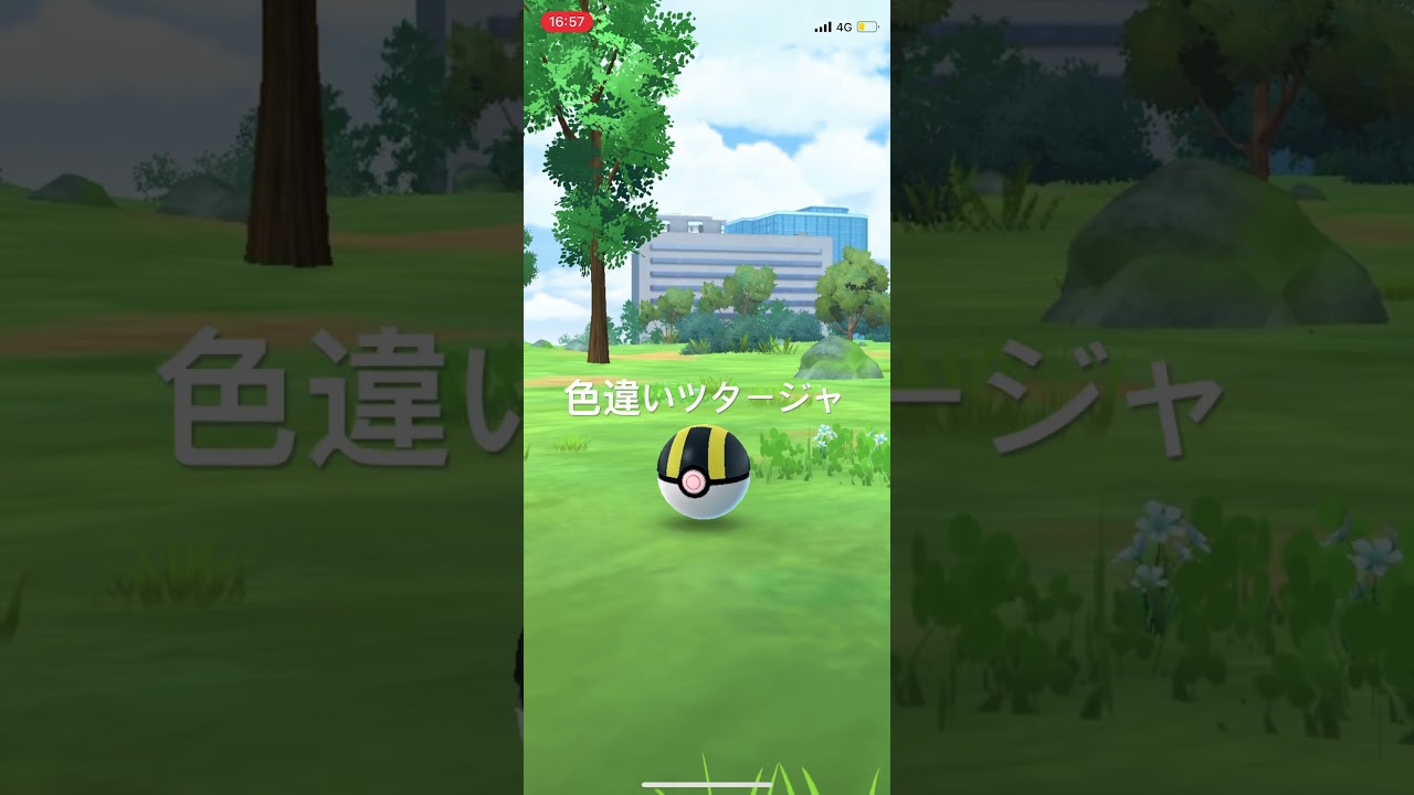 ポケモンGO 色違いツタージャ出現！ #pokémon #ポケモン #ポケモンgo