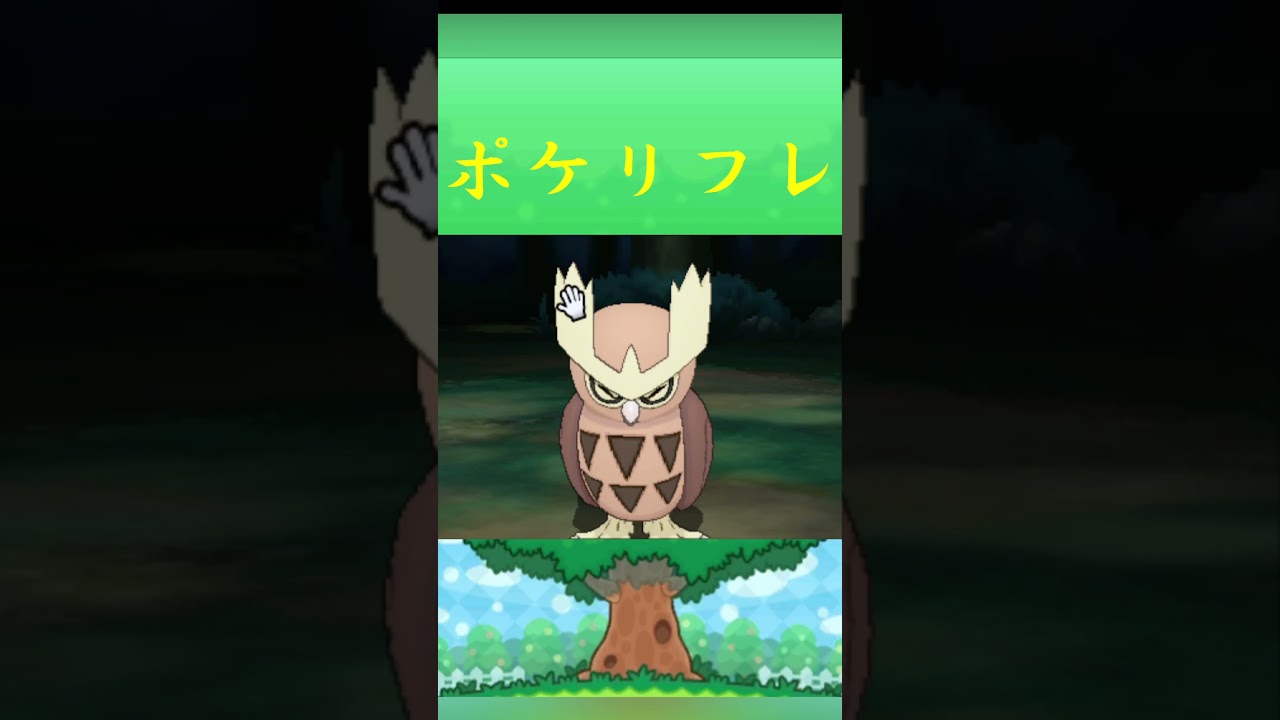 ポケモン ヨルノズク ポケリフレ ポケパルレ #ポケモン #Pokemon  #3DS #ポケモン技 #ポケモンsv #ポケモン #ふれあい