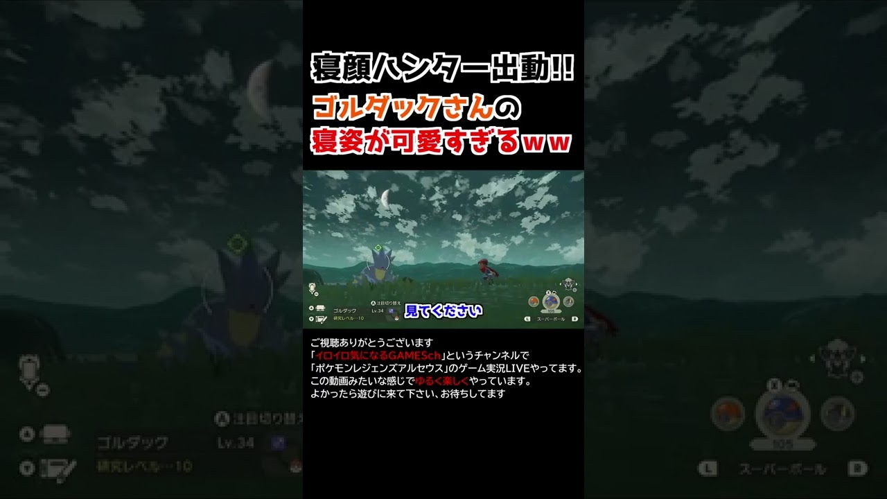 ゴルダックさんの「寝姿」が可愛すぎるww【Pokémon LEGENDS アルセウス】【寝顔ハンター】