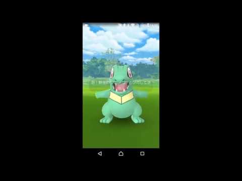 [ポケモンGO] 個体値100%色違いワニノコ捕獲 → 進化 [ハイドロカノン]