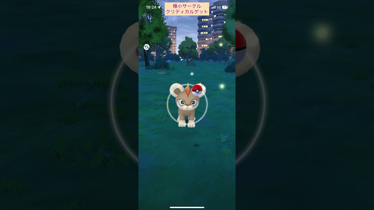 【難易度中】オスこい！色違いシシコ極小サークルクリティカルゲット【ポケモンGO】