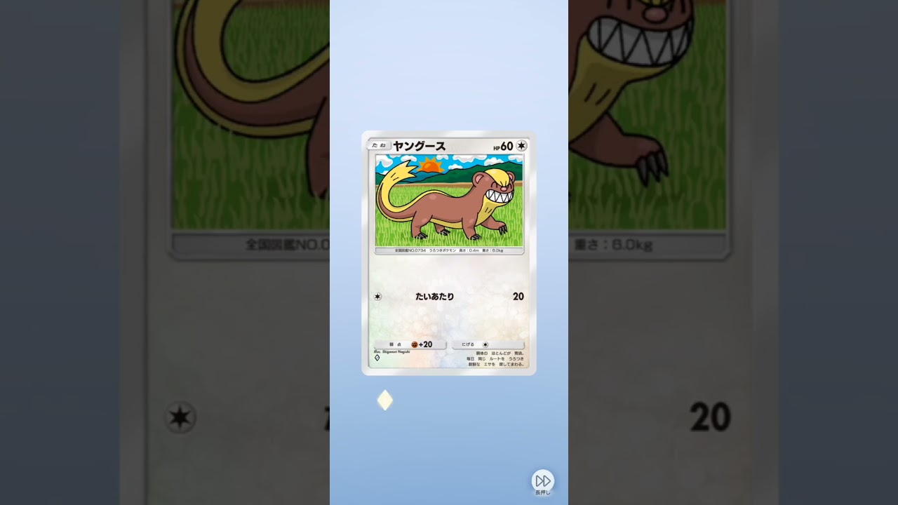 確定演出からのキュワワーが可愛い♪ポケポケ開封