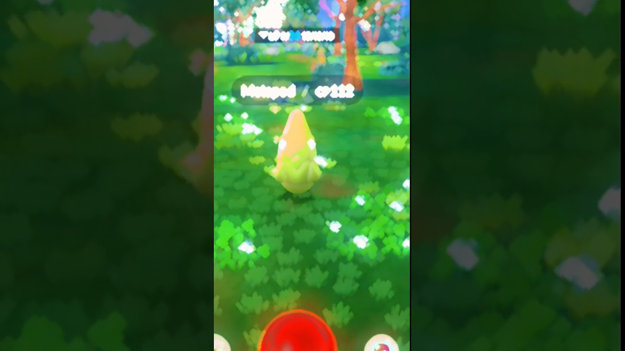 ポケモン検証】トランセル1匹で四天王に挑んでみた結果 #ポケモン#ポケモンバトル#ポケモンGO#ポケモンカード#ポケモン実況#ポケモンSV #ポケモン対戦#ポケモン好きと繋がりたい