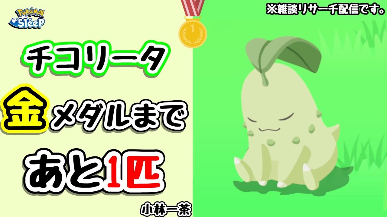 【ポケスリ 】チコリータ金メダルがリーチ！ついにこの戦いを終わらせることができるのか！？雑談リサーチ配信！初見さん大歓迎！