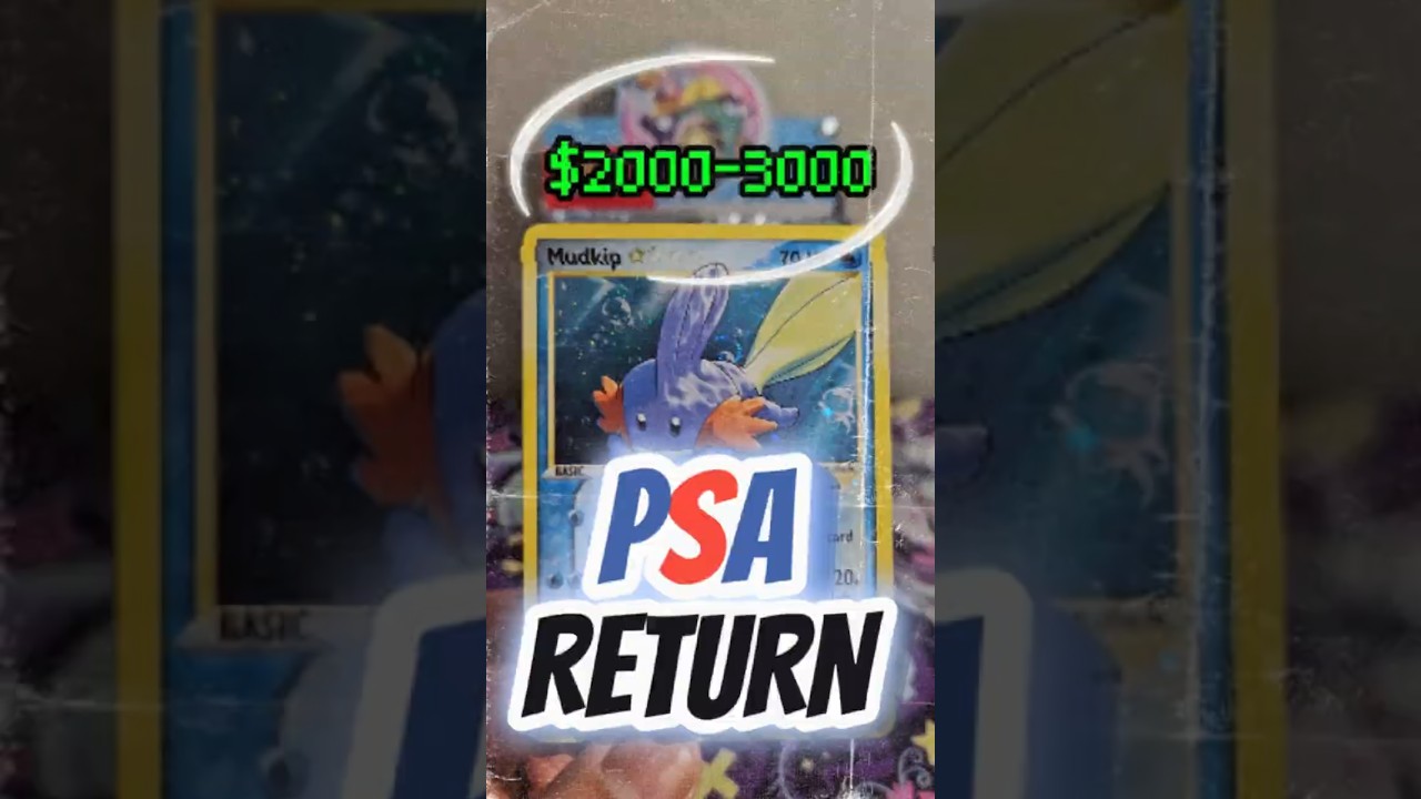 Does PSA Like Mudkips? #pokemonvintage #mudkip #psareveal  #pokemoncards