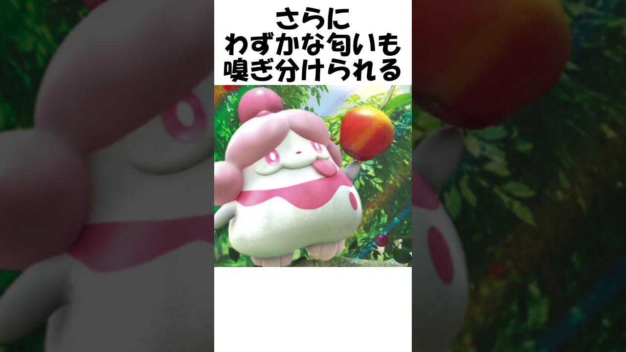 【ポケモン】あまもこ #Shorts