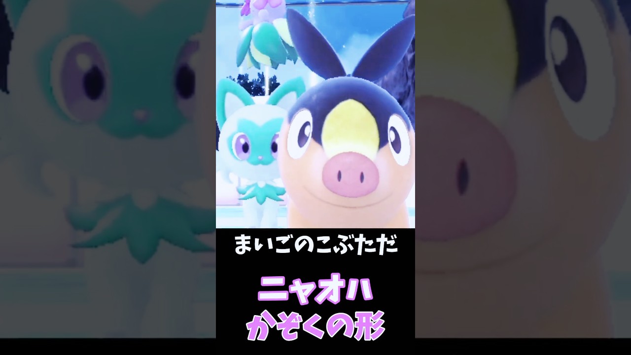 ニャオハ、まいごのこぶたの“家族”にビビる！？🐱🐷【ポケモンSV】　#shorts
