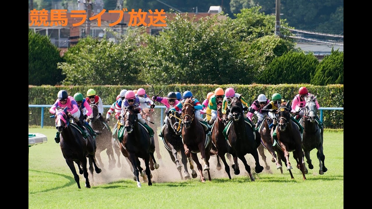 【中央競馬実況(G1 ヴィクトリアマイルの予想)】