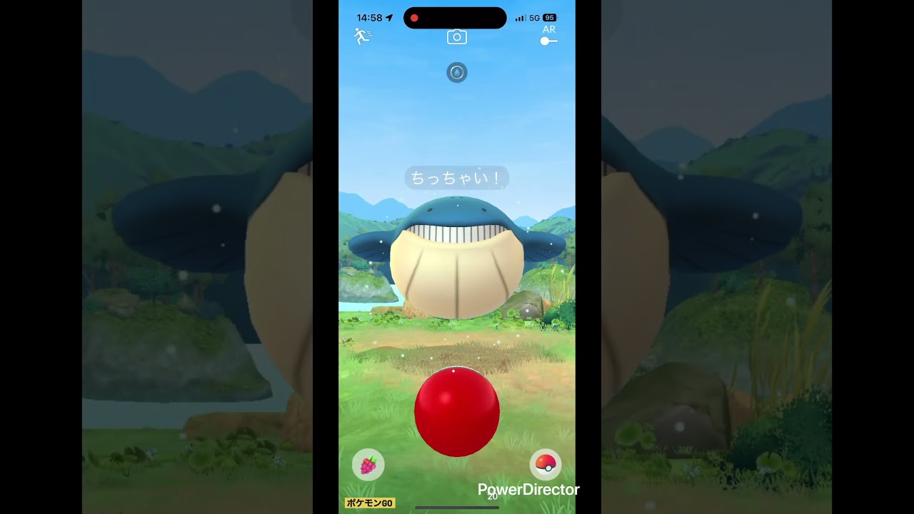 小さくデカいホエルコ🐳 #pokemongo #pokemon #ポケgo #pokémon