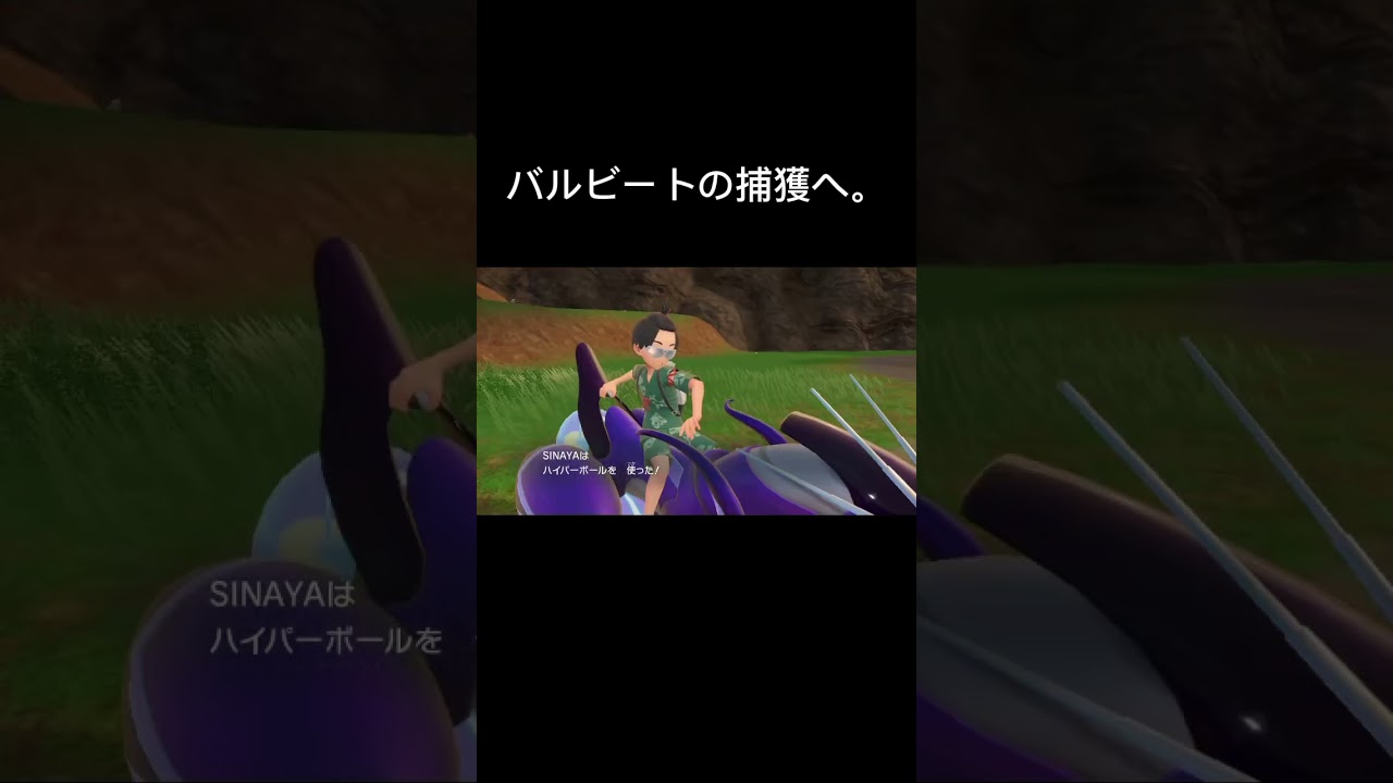 夜に暗くなる前に#バルビート　の捕獲へ　#ポケモンsv  #碧の仮面