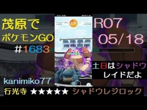 茂原でポケモンGO #1683