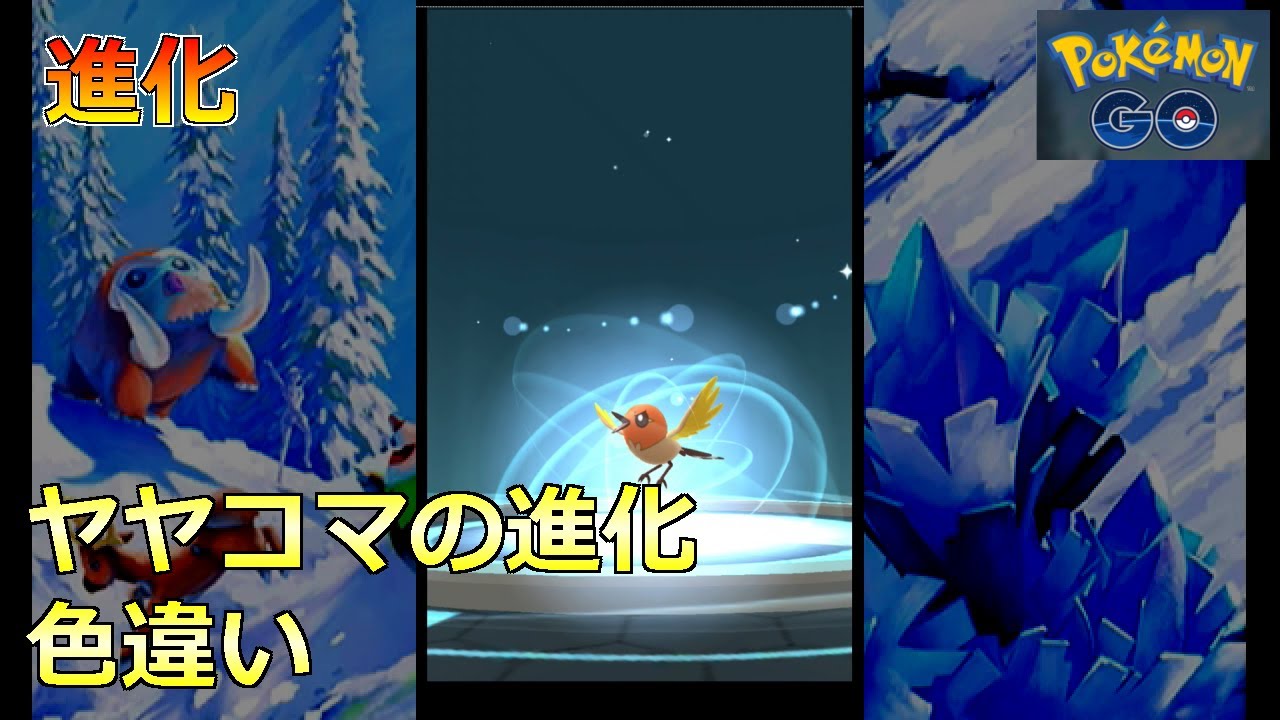 【ポケモンGO】進化 ヤヤコマの進化 色違い