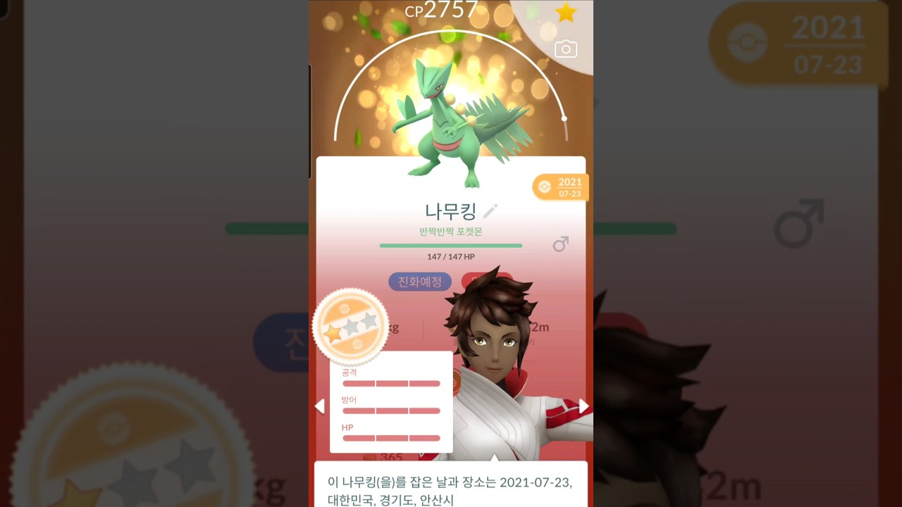 완벽 나무킹 100을 XL사탕 풀강화 메가진화 해보면?