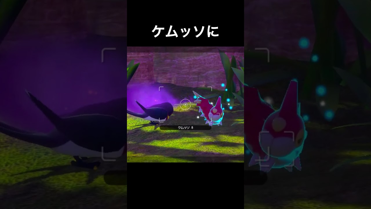 ケムッソの反撃　#ポケモンスナップ #ポケモン