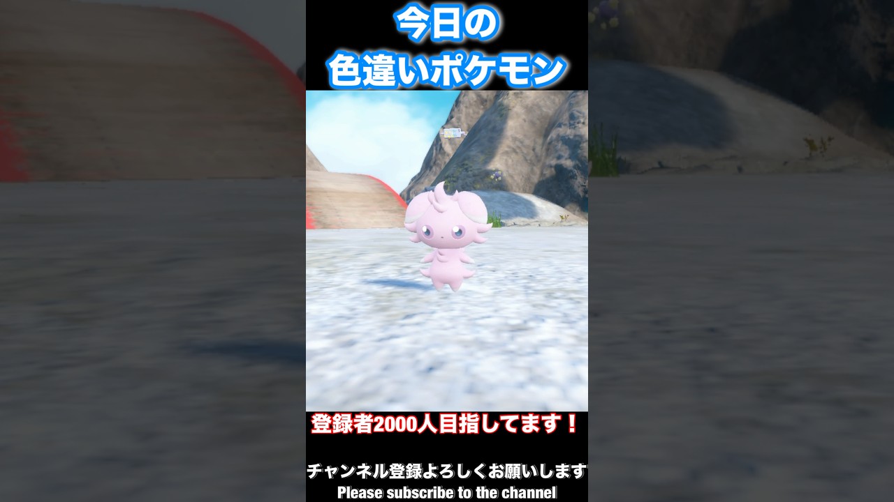 モフモフの尻尾が最高！#shorts #shortvideo #short #pokemon #ポケモンsv #色違い　#ニャスパー #ニャオニクス