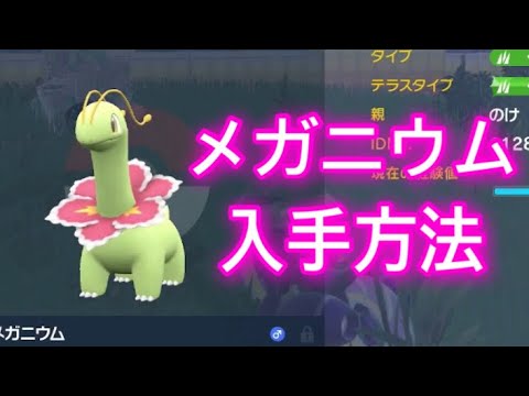 【ポケモンSV】【藍の円盤】メガニウム入手方法