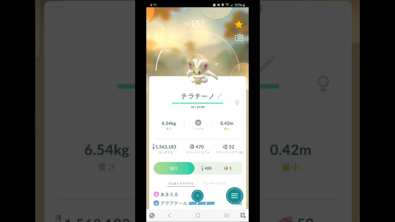 色違い　チラーミィからチラチーノに進化　ポケモンGO