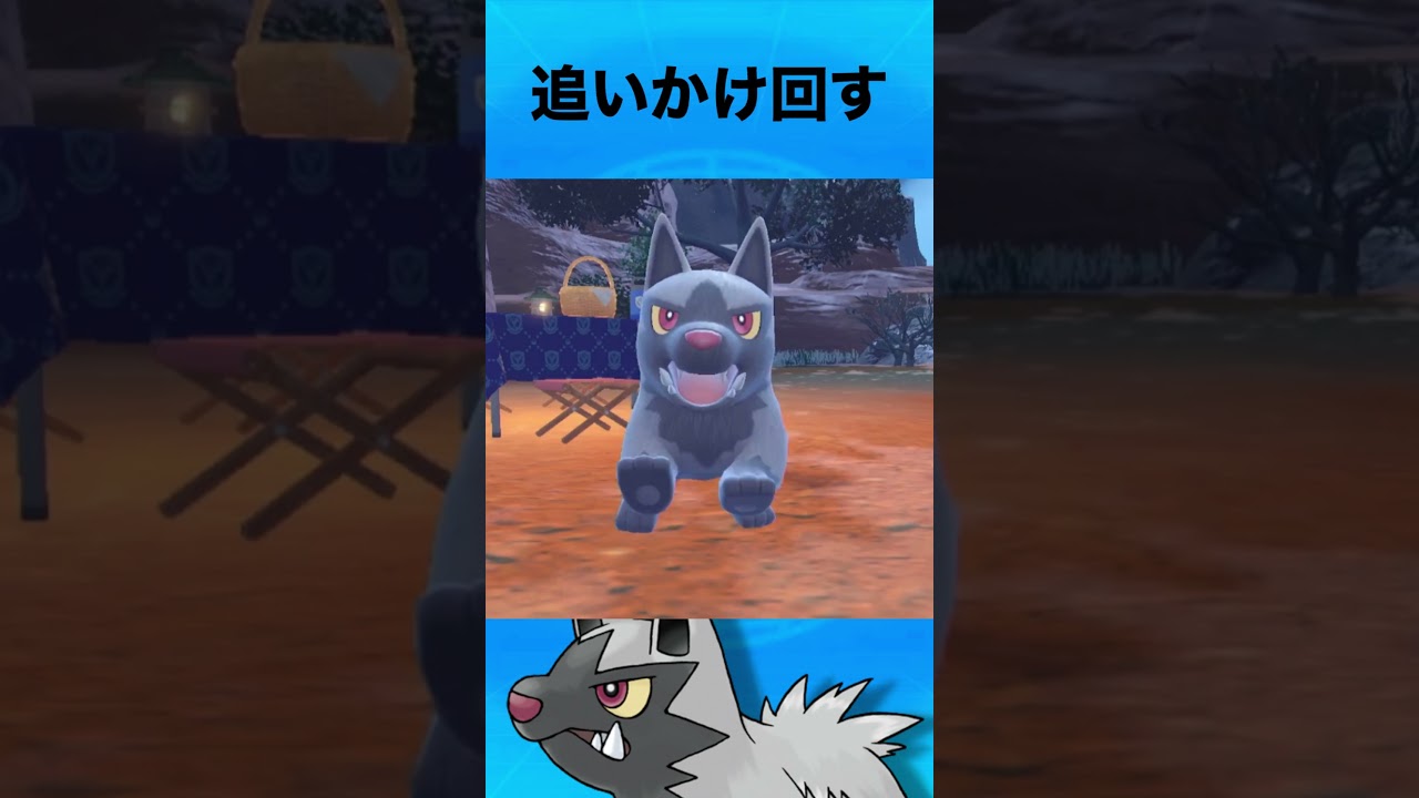 ポチエナについて #ポケモン #ポチエナ