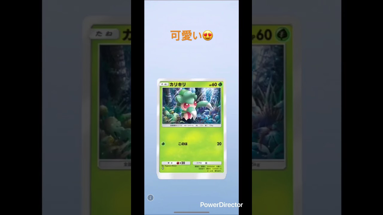 【ポケポケ】毎日ガチャ⭐️キテルグマ#ポケカ #ポケモン #おれポケ