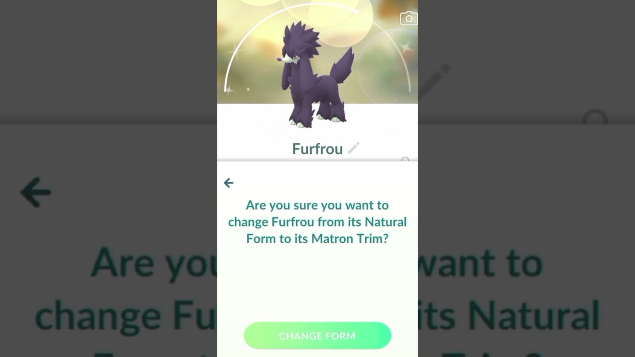Changing To Shiny Matron Furfrou In Pokemon Go #pokemongo #pokemon #shiny #shinypokemon #furfrou