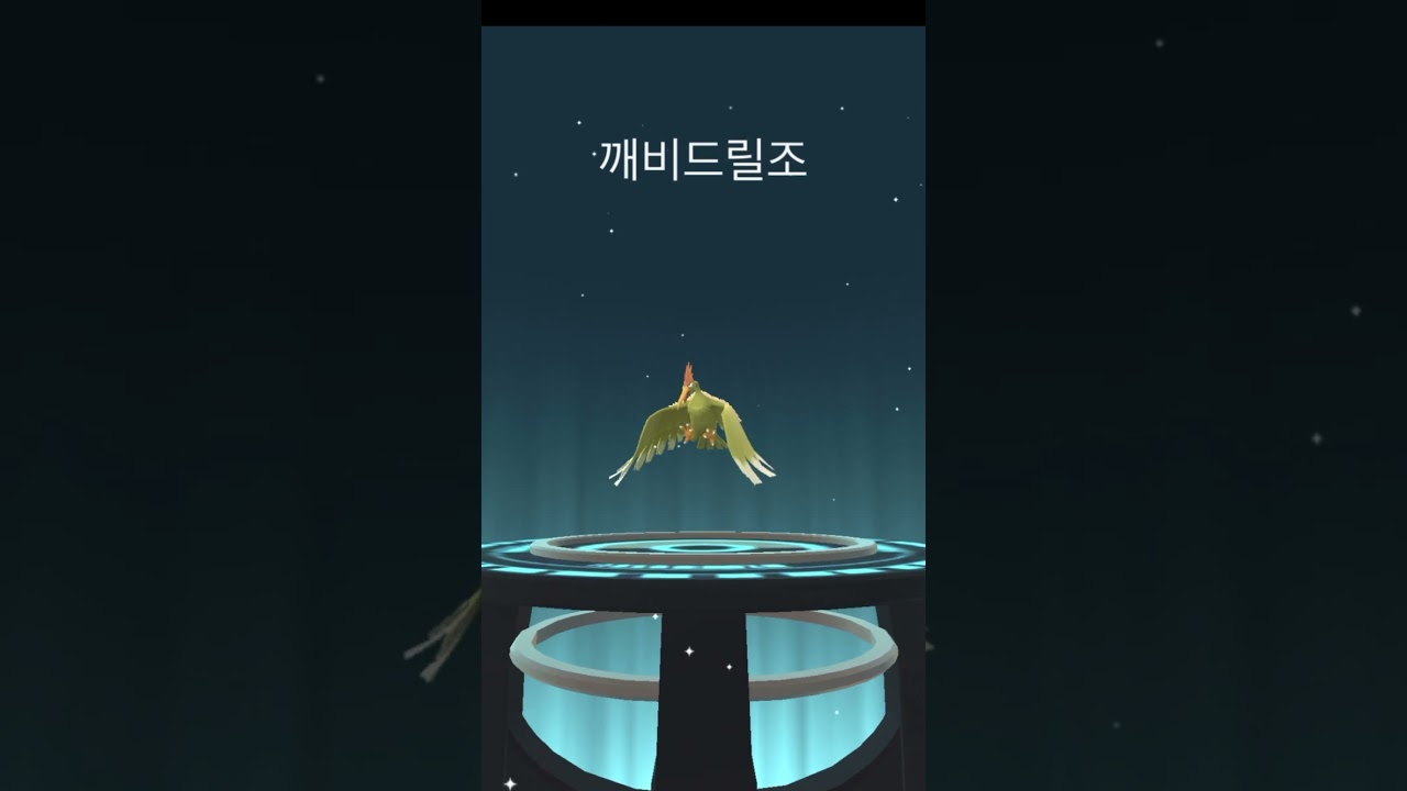 깨비드릴조 オニドリル Fearow #pokemongo #shinypokemon