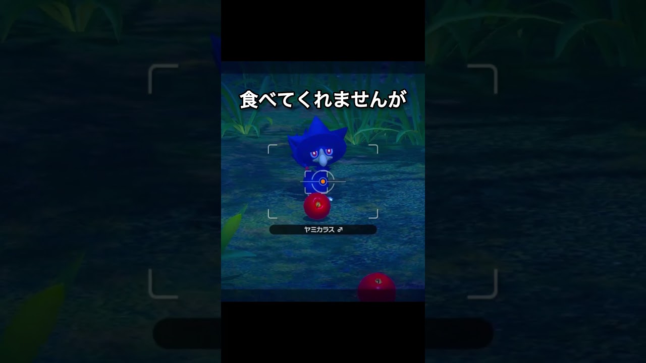 ヤミカラスのナワバリ　#ポケモンスナップ #ポケモン