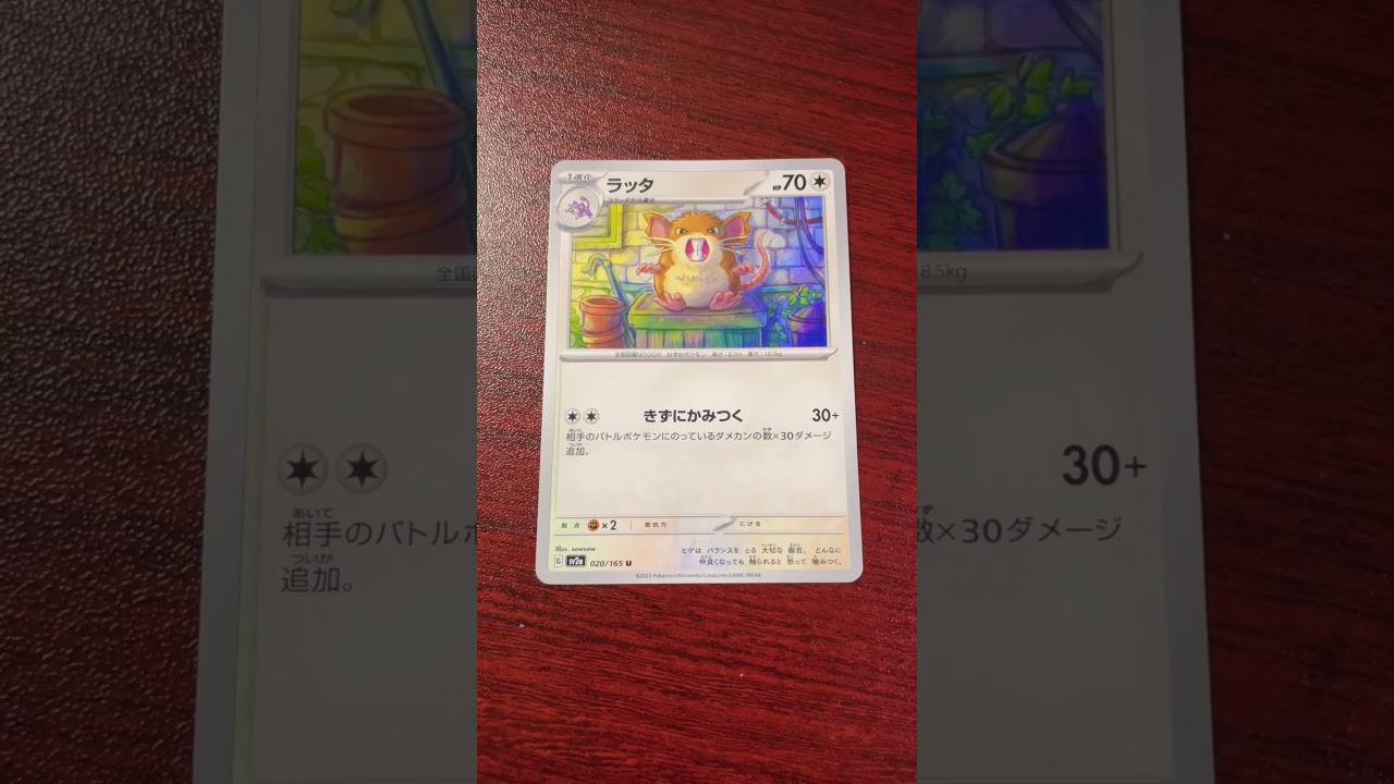 ビル裏のドン#ラッタ