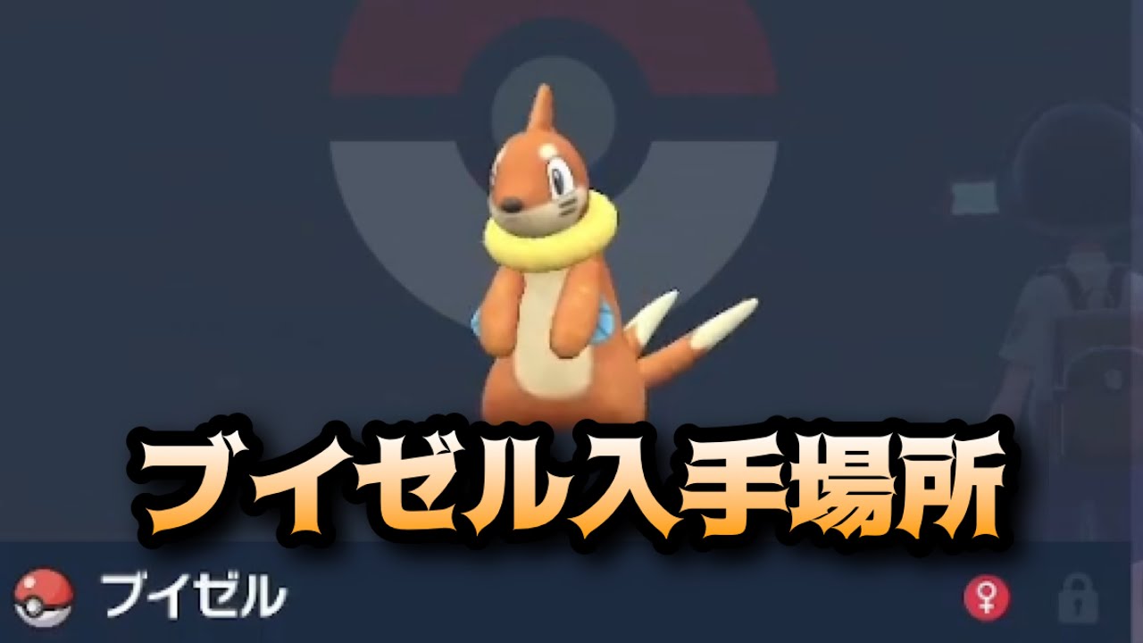 【ポケモンSV】ブイゼル入手場所