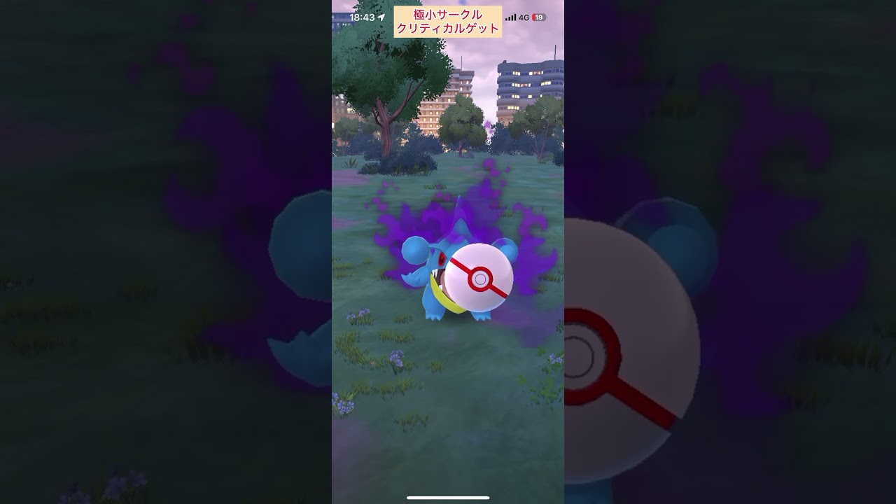 【難易度中】色違いシャドウフカマル極小サークルクリティカルゲット【ポケモンGO】
