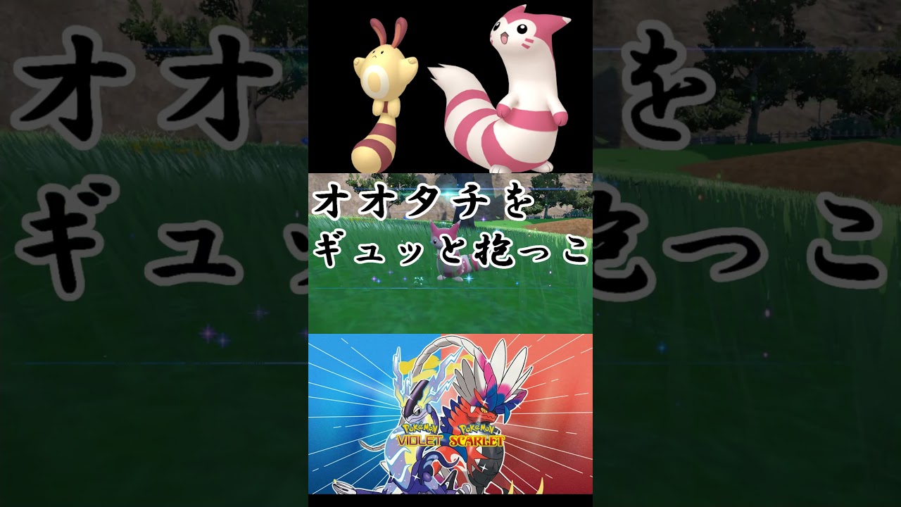 【ポケモンSV】可愛くてモフモフ♪オタチ、オオタチ色違い！ #ポケモン #色違い #ポケモンsv #色違い全国図鑑 #vtuber #shorts
