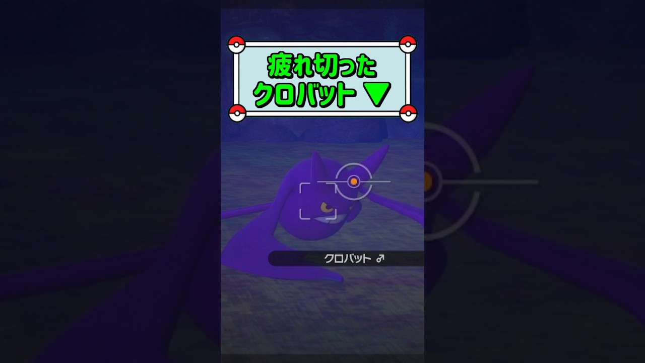 「疲れ切ったクロバット ▼」　#ポケモン　#ポケモンスナップ　#ポケスナ　#shorts