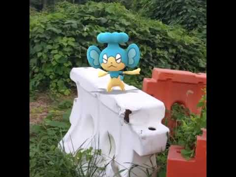 앗차프 ( Panpour ) ヒヤップ ( 冷水猴 )