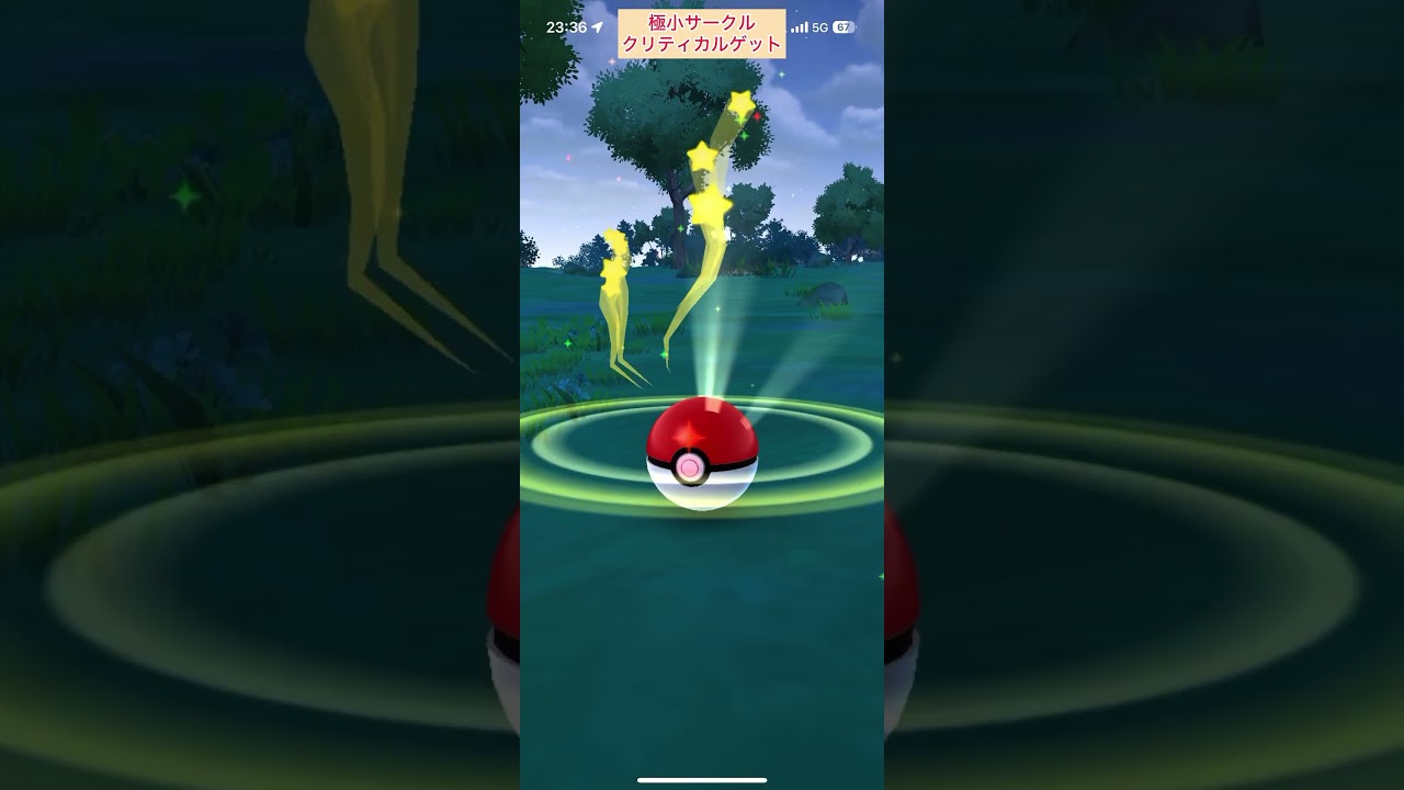 【難易度低】アーマルド極小サークルクリティカルゲット【ポケモンGO】