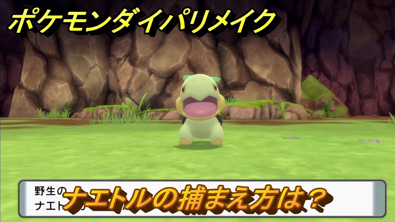 ポケモンダイパリメイク　ナエトルの捕まえ方は？出現場所は？　最新版【ブリリアントダイヤモンド・シャイニングパール】