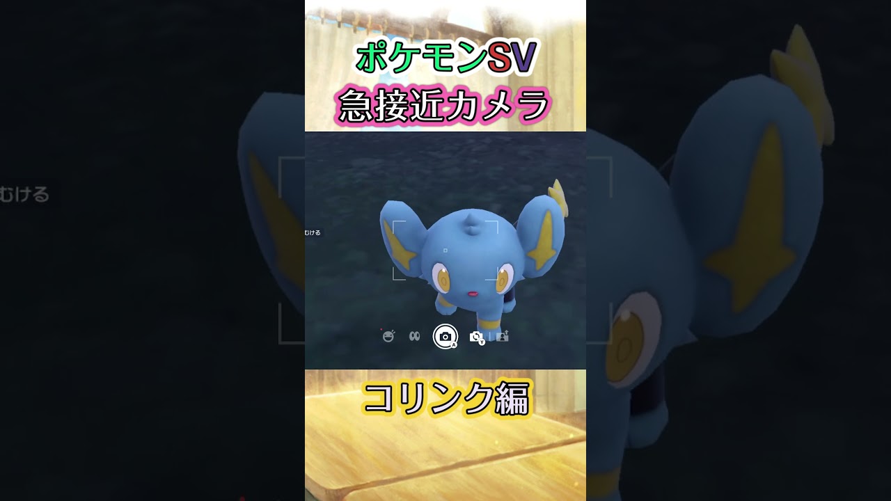 【ポケモンSV】コリンクが周りをﾃｸﾃｸと歩いてくれるだけの動画 #ポケモン #ポケモンsv #コリンク #shorts