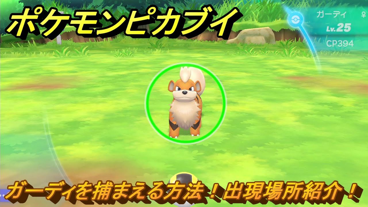 ポケモンピカブイ　ガーディを捕まえる方法！出現場所紹介！図鑑コンプへの道！　【ポケットモンスター Let's Go! ピカチュウ・イーブイ】