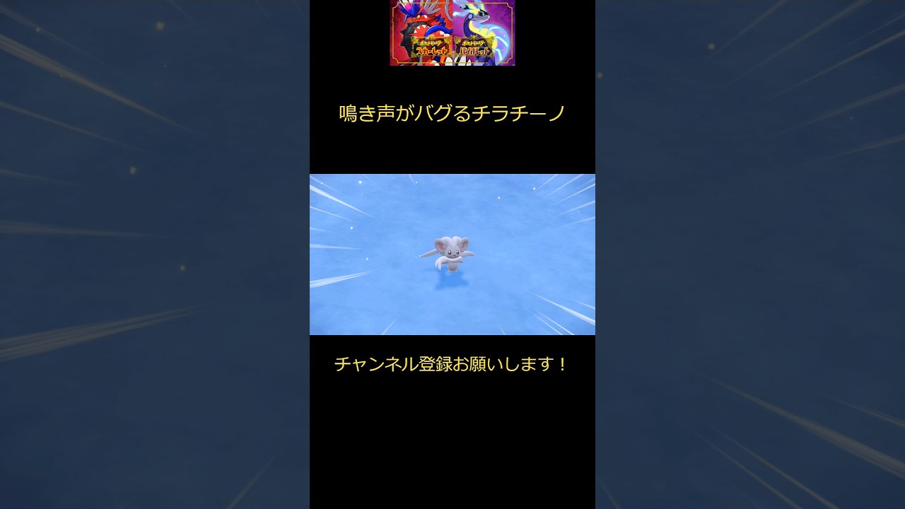 【小バグ】鳴き声がバグるチラチーノ