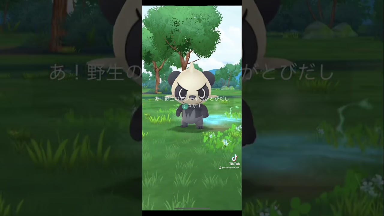 ベアーバディーリサーチデイ　有料ヤンチャム開封の儀〜　　動画の中盤嬉しい企画あるかも… #ポケモンgo #ポケモン #ポケモンsv