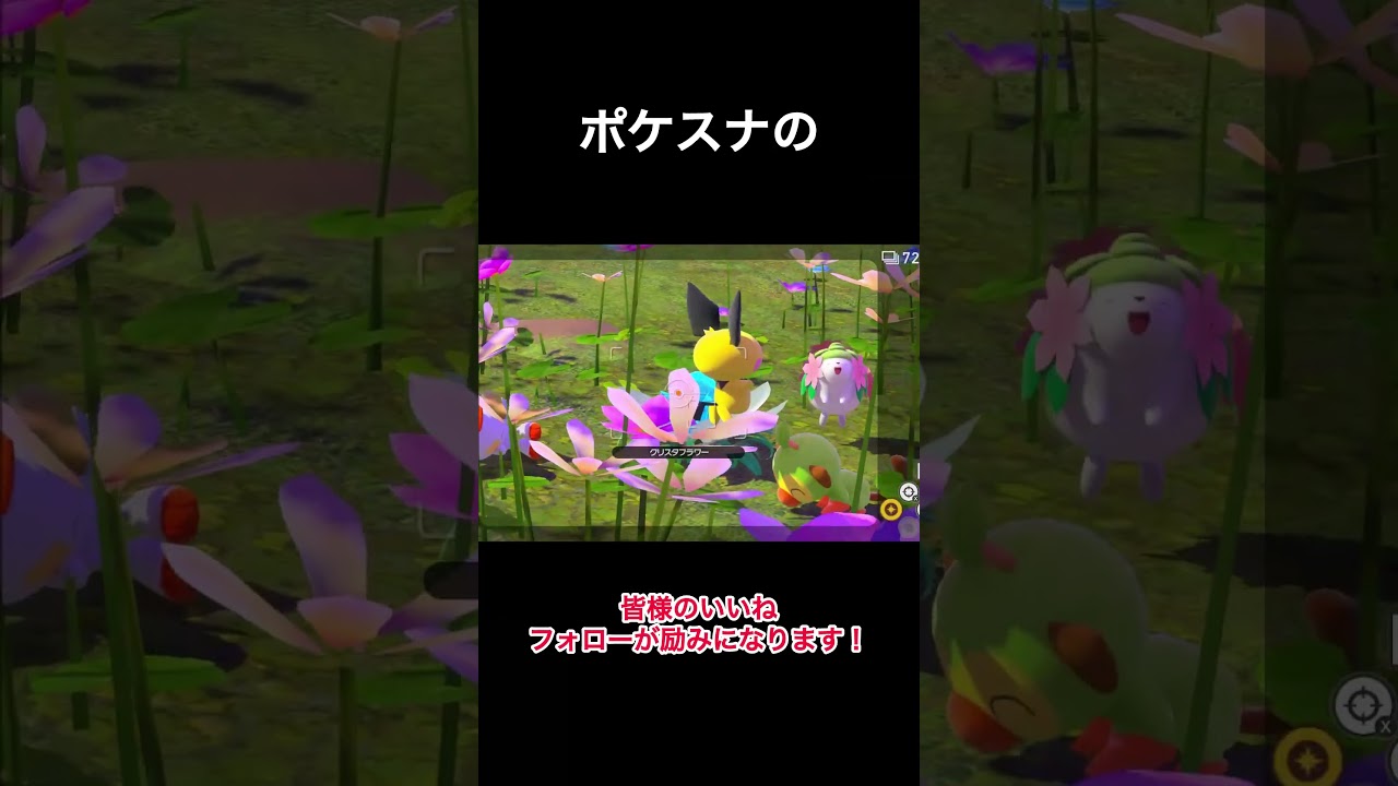 幻のシェイミ？！　#コイル  #ポケモン #シェイミ