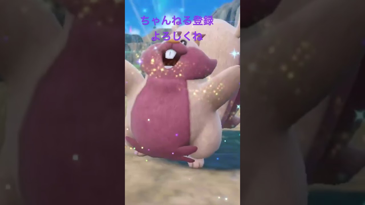 色違いホシガリス進化！ #ポケモン #ポケモンsv #色違いポケモン