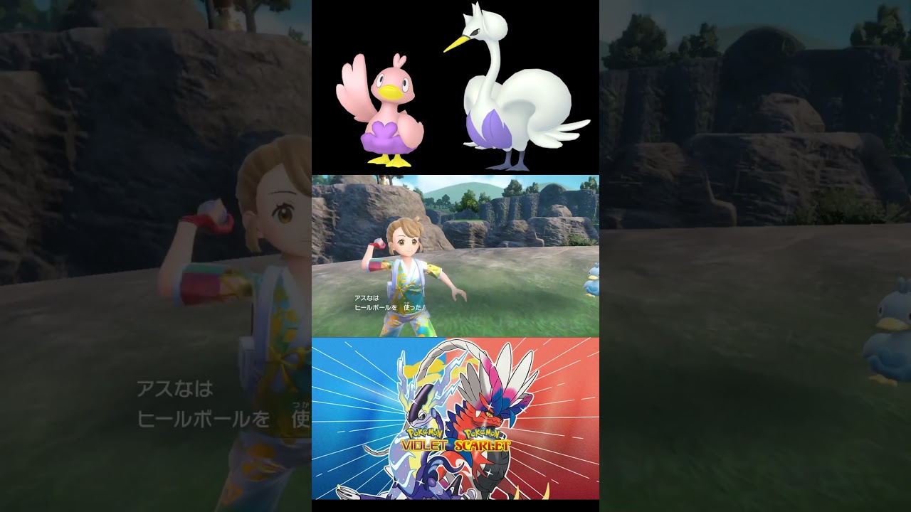 【ポケモンSV】コアルヒー、スワンナ色違い！ 醜いアヒルの子が題材のポケモン！ #ポケモン #色違い #色違い全国図鑑 #ポケモンsv #vtuber #shorts