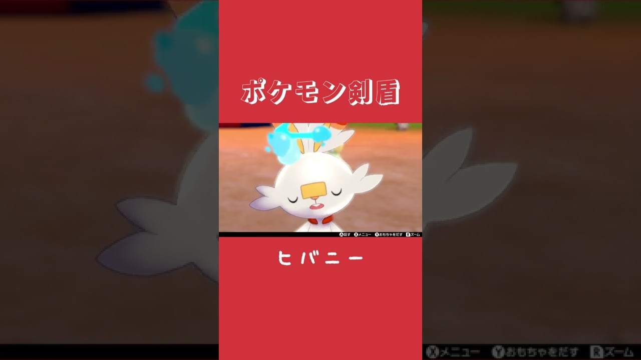 【ポケモン剣盾】寝ているヒバニーを眺めるだけ #shorts