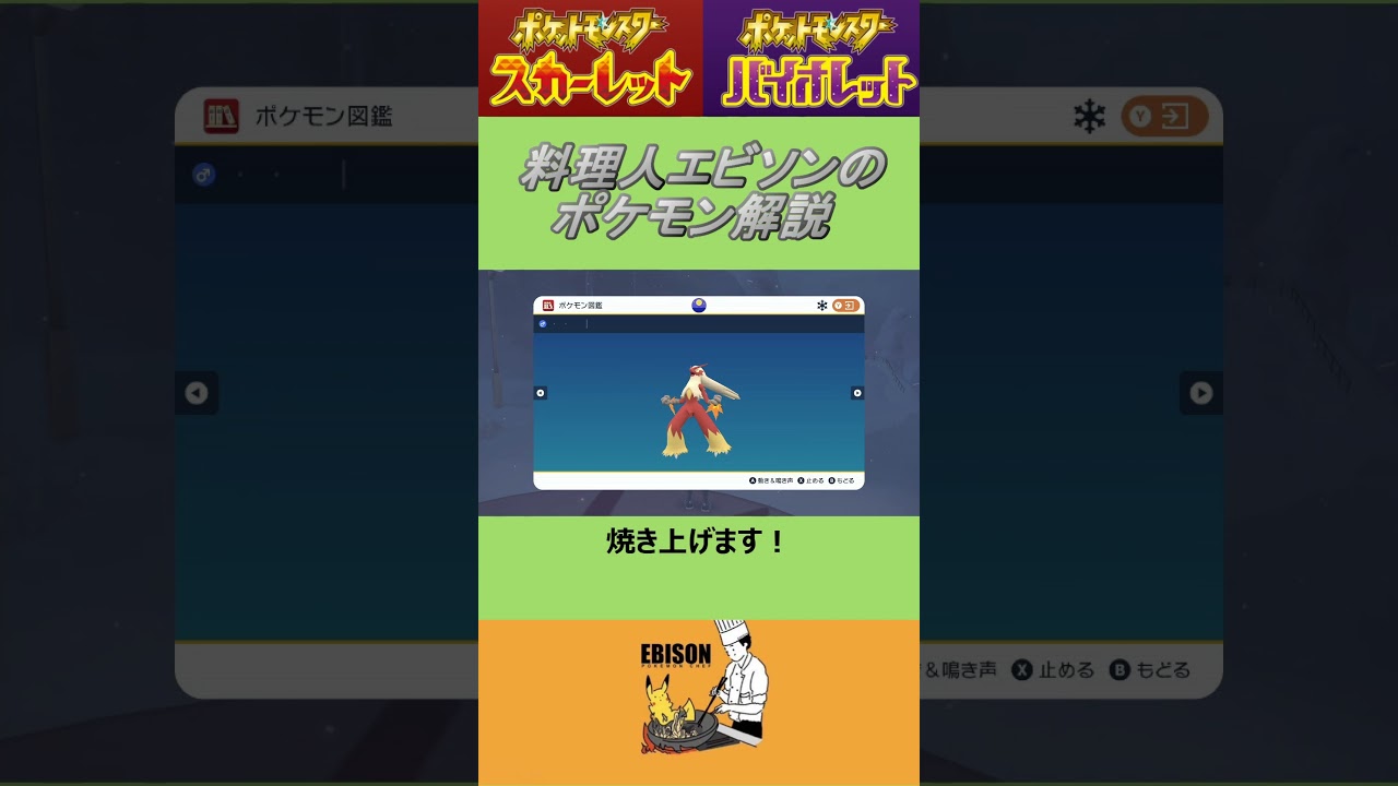 エビソンのポケモン解説120　#ポケモンsv #スカーレットバイオレット #バシャーモ