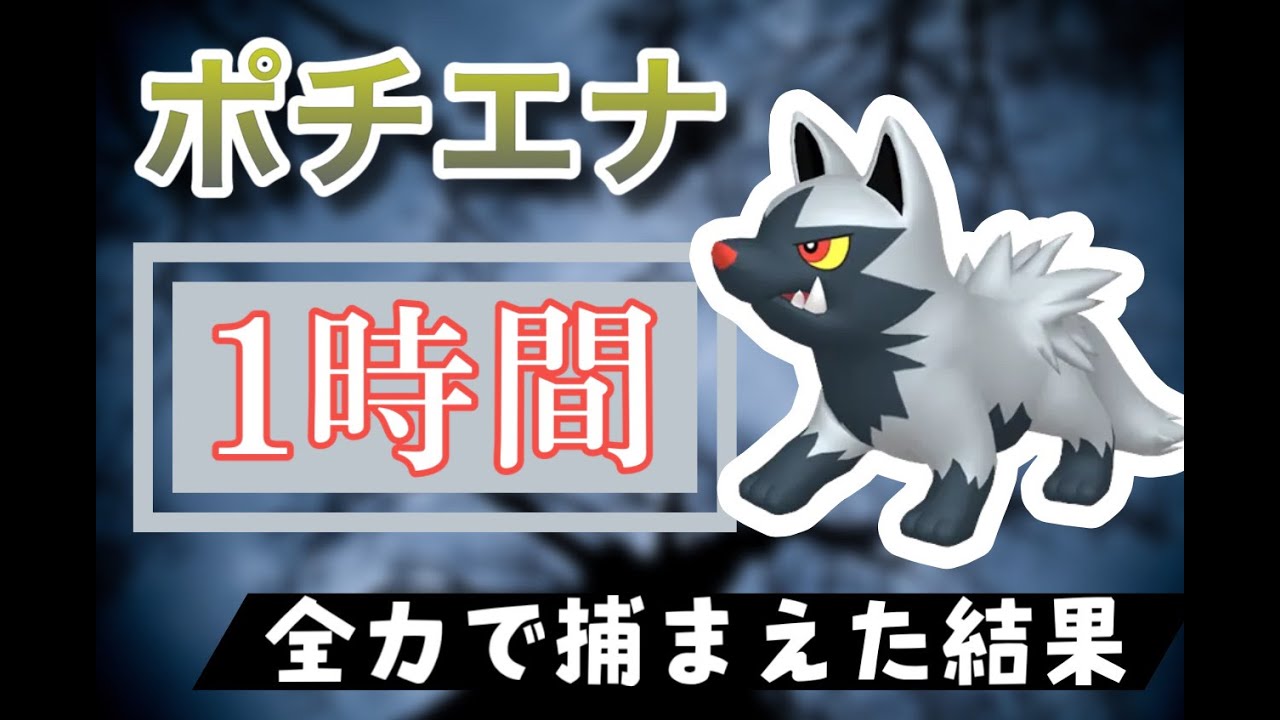 【ポケモンGO】田舎でポチエナのスポットライトアワーをやった結果