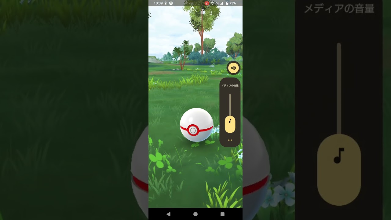 ポケモンＧＯ　ギアル　色違い