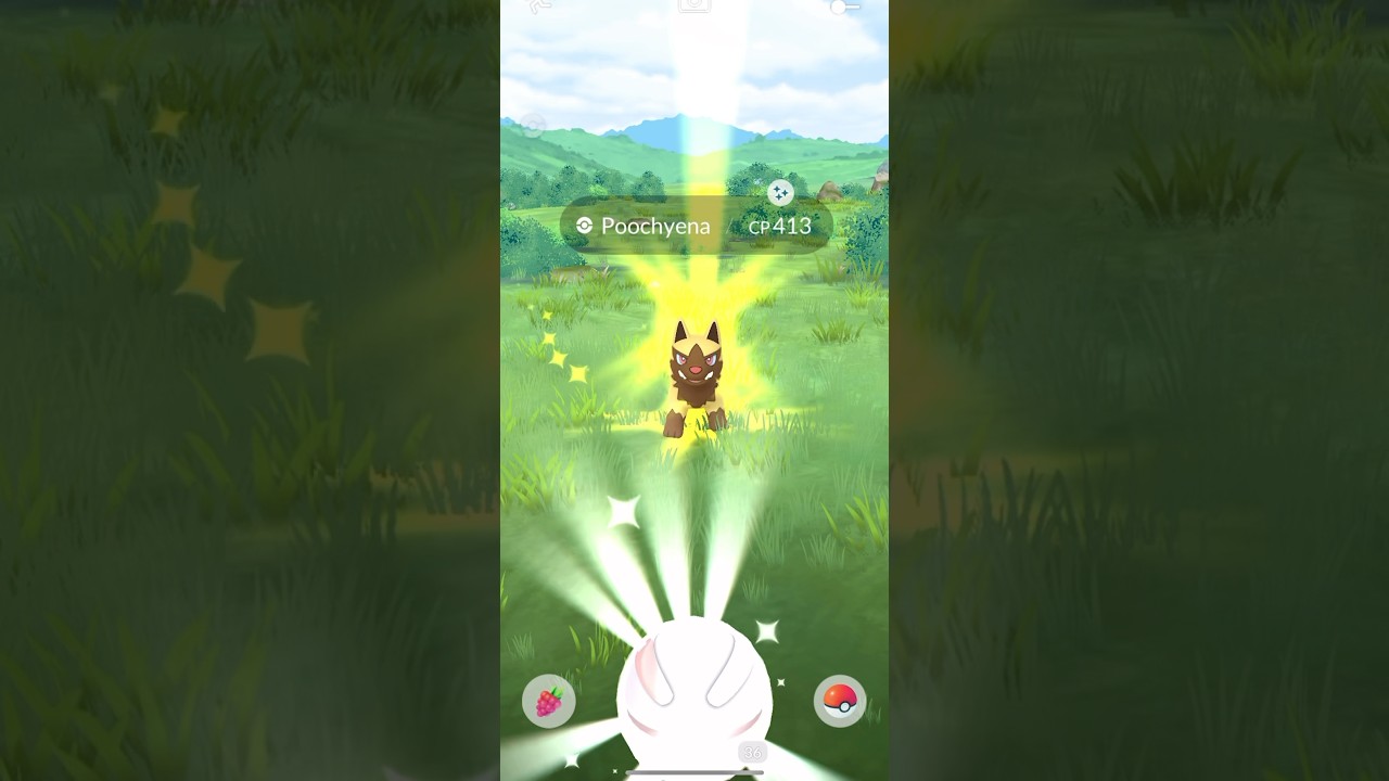 Catching a shiny Poochyena!色違いポチエナゲットしたよ #PokemonGO #ShinyPokemon  #ポケモン #ポチエ #pokemongoshorts