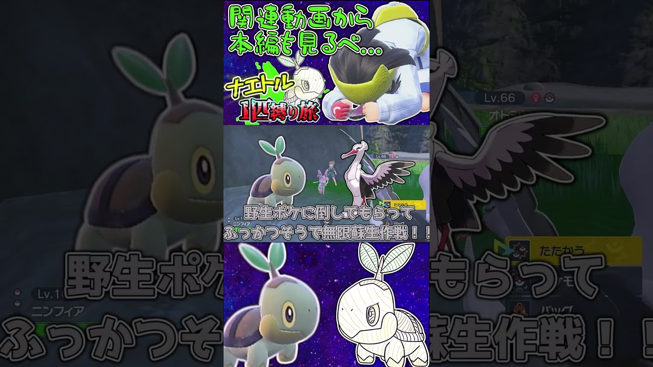 ナエトルのなつき度を下げようのコーナー！！！！【ゆっくり実況】【ポケモンSV】【ポケットモンスタースカーレット/バイオレット】