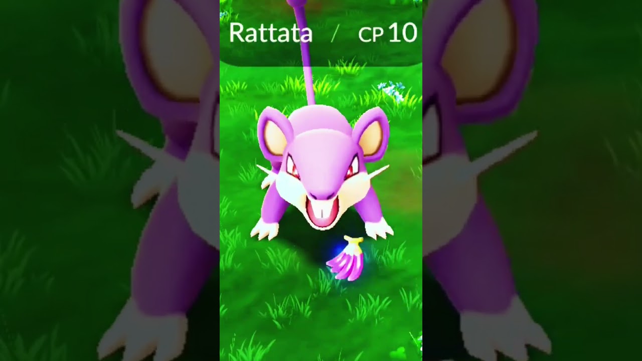 最強のコラッタ！？初代ポケモンの意外な実力 #ポケモン#ポケモンバトル#ポケモンGO#ポケモンカード#ポケモン実況#ポケモンSV #ポケモン対戦#ポケモン好きと繋がりたい